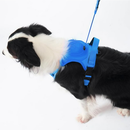 Arnés Perro Con Correa Retráctil Azul
