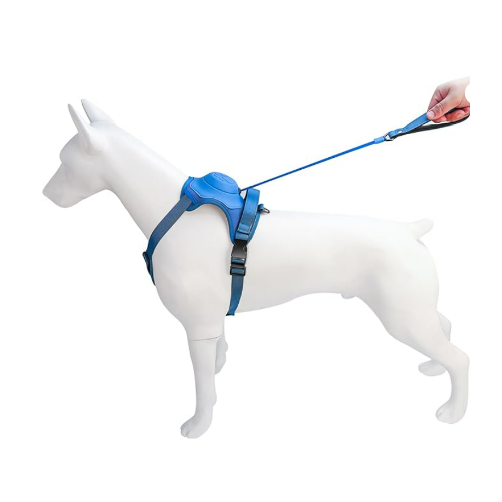 Arnés Perro Con Correa Retráctil Azul