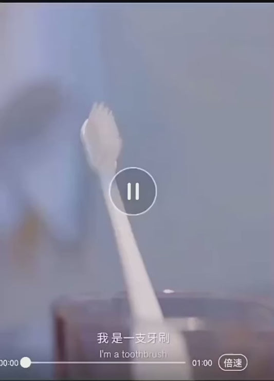 Soporte Esterilizador de Cepillos