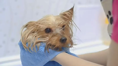 Peine Profesional para Mascotas con Vaporizador 2 en 1