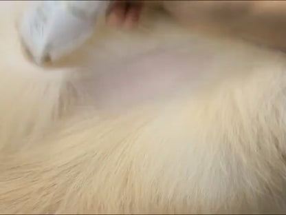 Maquina de afeitar para mascotas